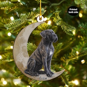 May include: A decorative Christmas ornament featuring a black dog sitting on a crescent moon. The dog has a white patch on its chest and the name "Bella" is written on the moon. The ornament is hanging from a gold string.