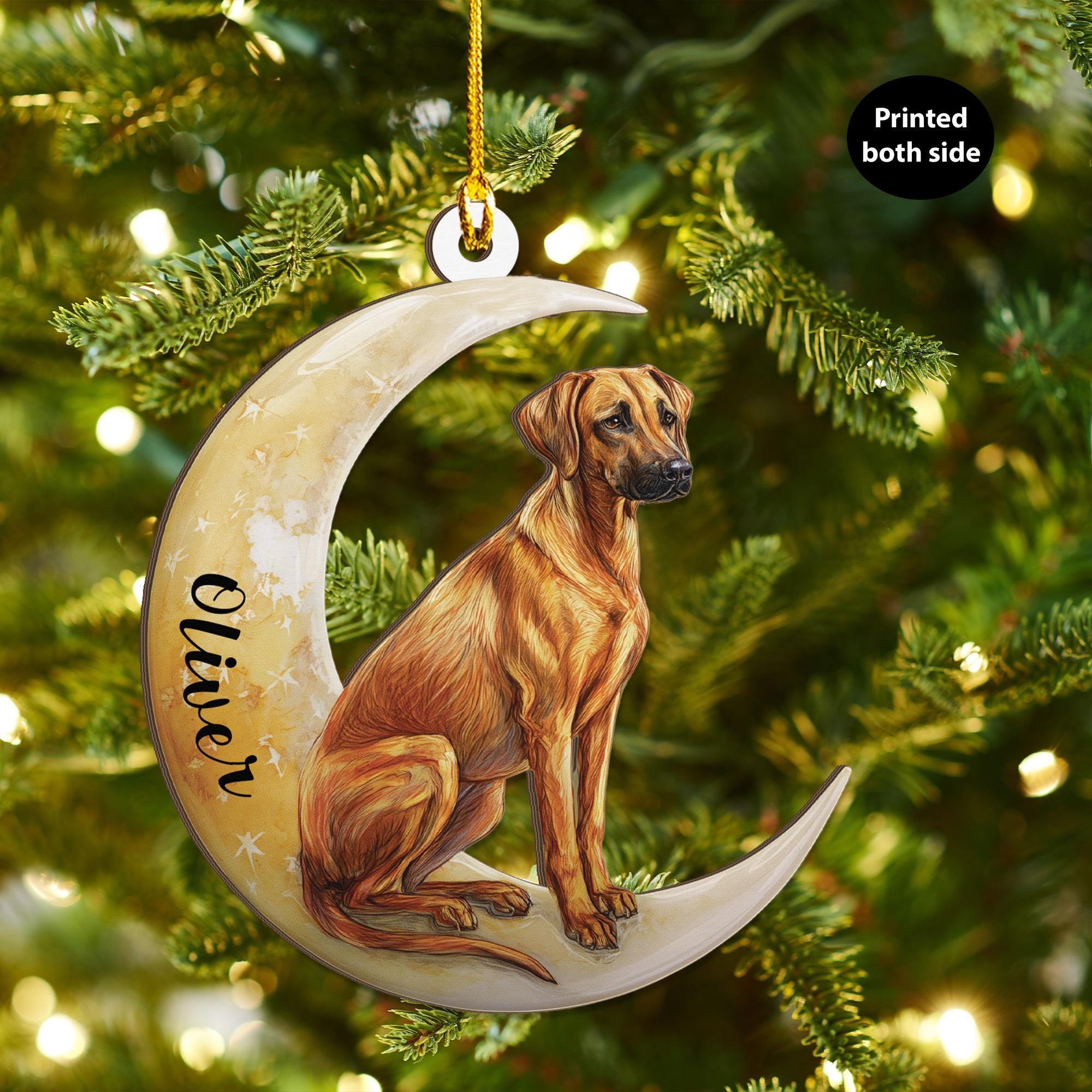 A Rhodesian Ridgeback Treeing A Squirrel Personalized Rhodesian Ridgeback on Moon Ash Plywood Ornament, Flat 2D ...