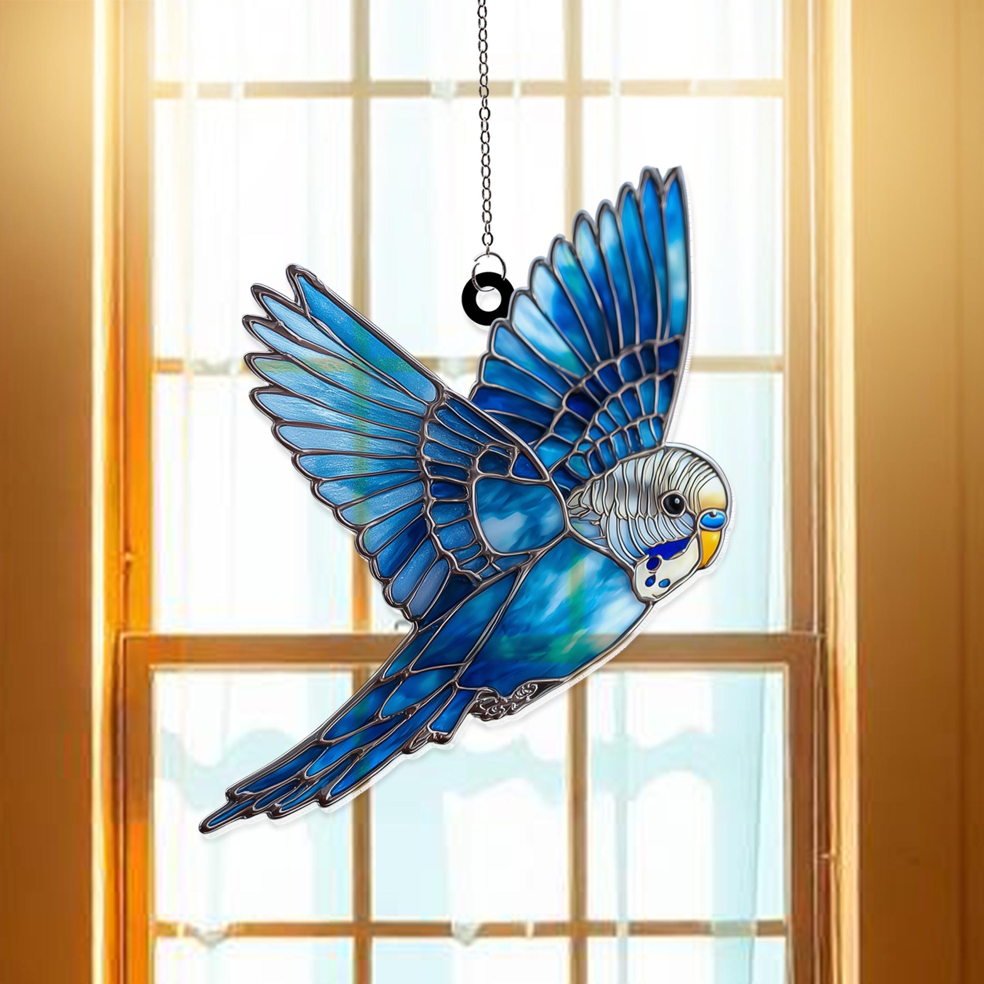 Rainbow Budgie New Zealand