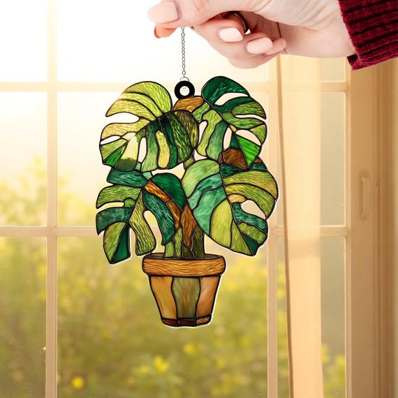 philodendron amazon sunset Philodendron verrucosum Amazon Sunset 