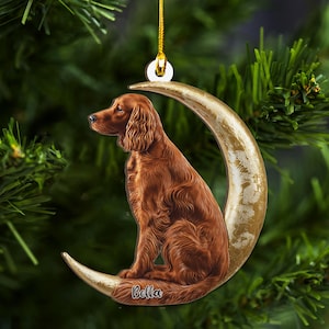 May include: A Christmas tree ornament featuring a brown Irish Setter dog sitting on a gold crescent moon. The dog's name, "Bella," is written on the moon. The ornament hangs from a gold string and is set against a backdrop of green Christmas tree branches.