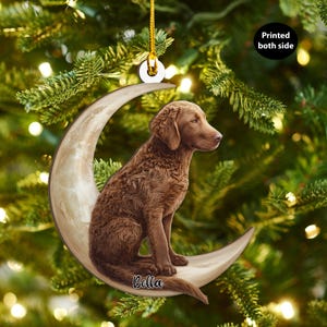 sachin and babi light blue dress Santa's Doggie Parade is back! Join us on the Avila Beach Promenade on  Saturday, December 13 from 11 AM12 PM for one of our favorite holiday  traditions. Check in from 10:0010:45 AM