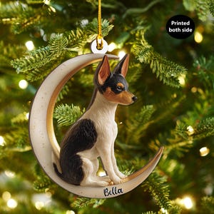 Può includere: Un ornamento natalizio decorativo raffigurante un cane seduto su una luna crescente. Il cane ha il pelo nero, bianco e marrone. La luna crescente è color crema con un accento dorato. L'ornamento ha un filo d'oro per appenderlo e il nome "Bella" è scritto sulla luna.