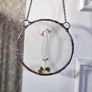 リネア、小さなツインフラワーの壁掛け、テラリウムの装飾。リネア・ボレアリス。スウェーデンの手工芸品。