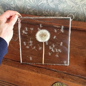 Dandelion wall hanging, square, Terrarium decor. Swedish handcraft.