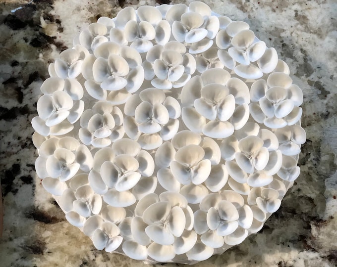 Shell Art - Etsy