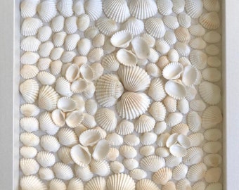 Shell Art. Real shells. Shadow box frame.