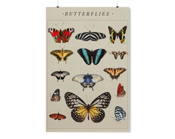 Butterfly Poster Print