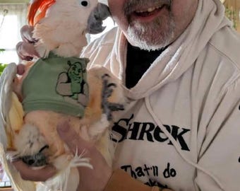 Personalized sweatshirt or jumper for your large cockatoo or macaw