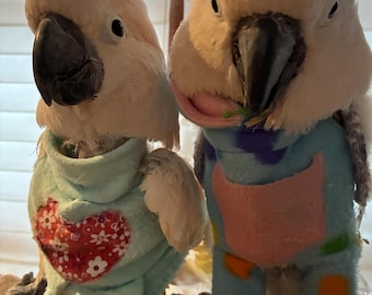 Custom made fleece clothing for cockatoos and macaws. Anti-plucking. Anti-mutilating.