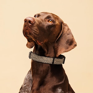 Leopard Print Dog Collar: Adjustable Polyester Webbing, Comfortable Fit