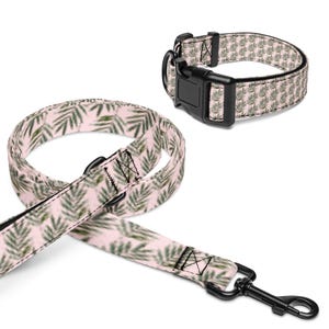 Dog Collar and Leash Set – Palm Springs Design – Adjustable Padded Pet Collar – Small Medium Large Sizes – Stylish Dog Accessories