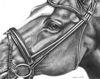 Dibujo de caballo - Etsy México Dibujo de caballo - Etsy México