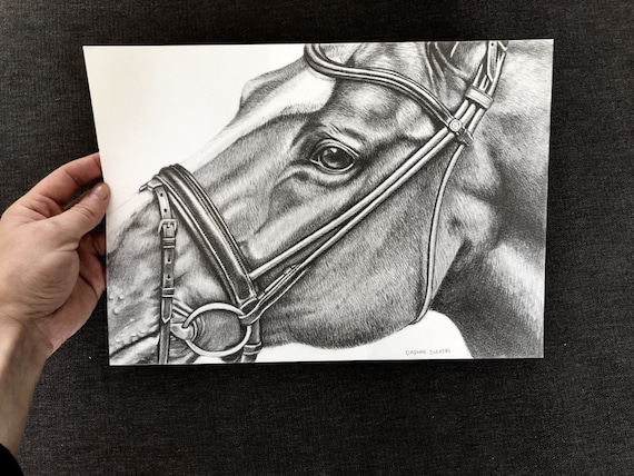 How to Draw a Horse: 15 EASY Drawing Projects