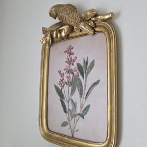 Ornate Gold & Green Parrot Picture Frame – 5x7 Tabletop - 11x14 Wall, Vintage / French Country Decor image 8