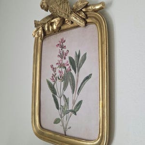 Ornate Gold & Green Parrot Picture Frame – 5x7 Tabletop - 11x14 Wall, Vintage / French Country Decor