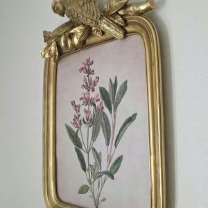 Ornate Gold & Green Parrot Picture Frame – 5x7 Tabletop - 11x14 Wall, Vintage / French Country Decor image 10