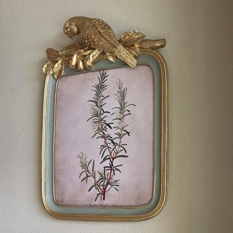Ornate Gold & Green Parrot Picture Frame – 5x7 Tabletop - 11x14 Wall, Vintage / French Country Decor