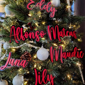 May include: A Christmas tree decorated with red and black personalized ornaments with names "Eddy", "Alfonso", "Mateaus", "Mandie", "Luna", and "Lily".