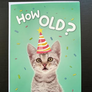 Carte d'anniversaire drôle de chat avec du son ! « Quel âge ? Tu es un futur chaton pour moi ! Un ronronnement parfait pour les amoureux des chats et les anniversaires marquants.
