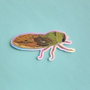Cicada Sticker