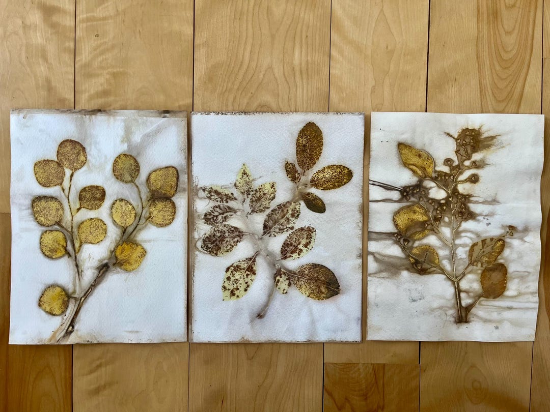 Eco-printed Watercolor Paper, Natural Plant Dyed Prints for Journaling ...