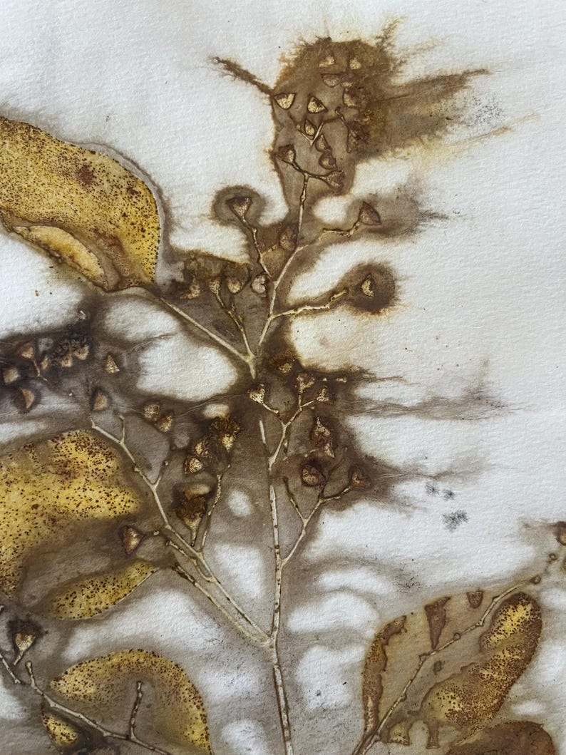 Eco-printed Watercolor Paper, Natural Plant Dyed Prints for Journaling ...