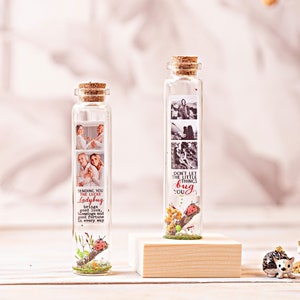 Regalo di buona fortuna, Personalizzato Regalo fotografico di buona fortuna, coccinella auguri di fortuna che si avverano, fiori secchi foto collage fortuna per l'amico fortuna positiva