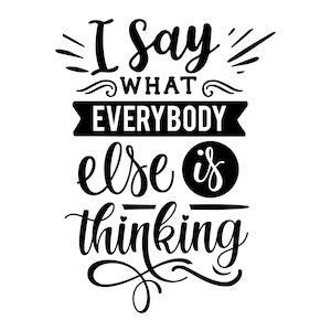 I Say Sarcastic Vinyl Decals Stickers