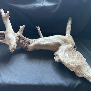 Driftwood root. Lightweight. Natural.