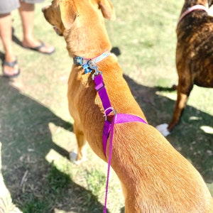 No-pull dog leash instantly stops your dog from pulling. No training required image 1