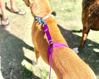 No-pull dog leash instantly stops your dog from pulling. No training required!