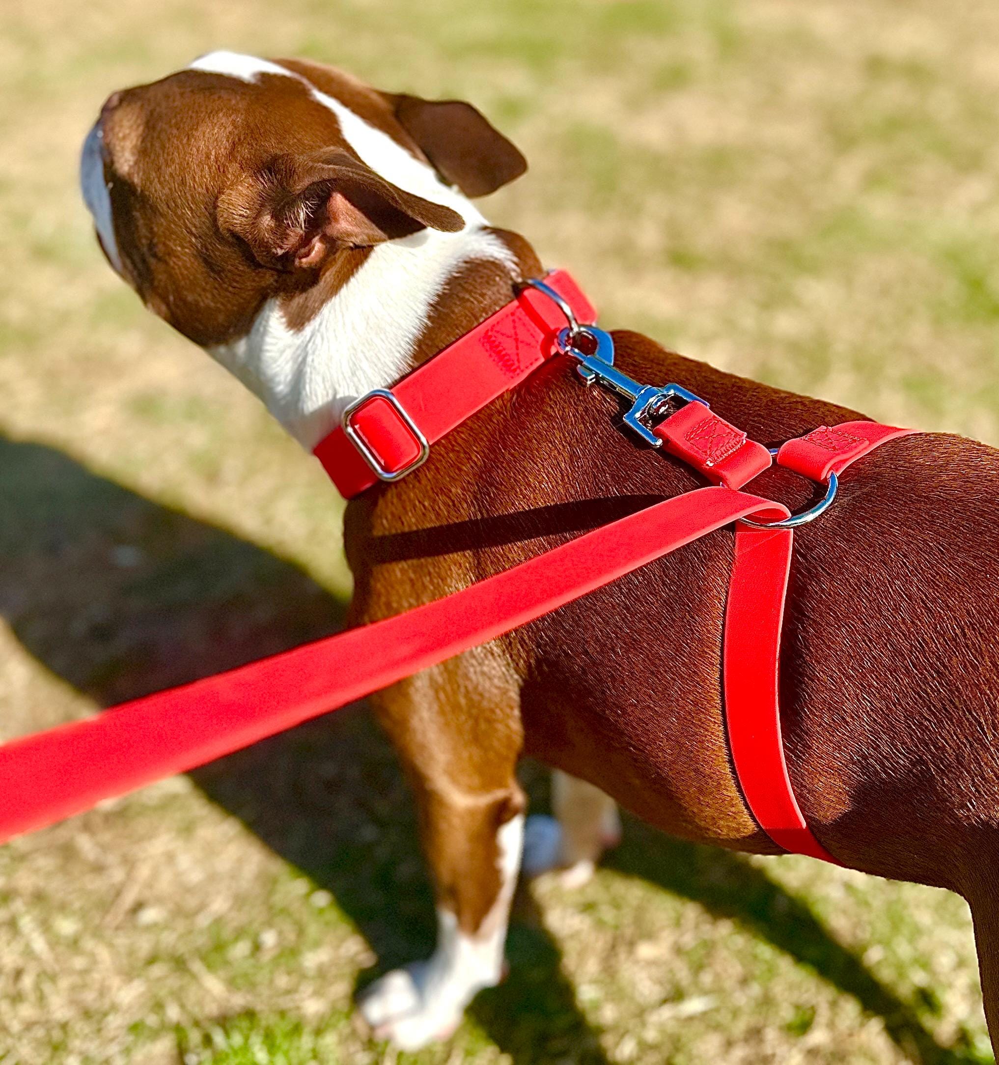 No-pull Dog Leash Instantly Stops Your Small Dog From Pulling. No Training  Required! (8-30 LBS) - Etsy