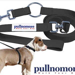 May include: Black dog leash with a silver metal clasp and a matching black harness. The leash has the text "pullnomore Walk Your Dog" on a white label. A dog is wearing the harness.
