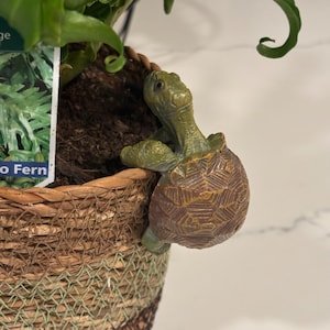 May include: A decorative turtle figurine clinging to the side of a woven basket planter. The turtle is green and brown, with a detailed shell. The basket contains a green plant with a tag that reads "Fo Fern".