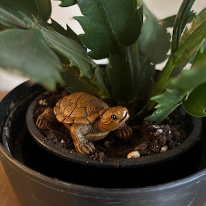 May include: A small, detailed brown turtle figurine sits in a black plant pot with a green plant. The turtle has a textured shell and is positioned near the base of the plant. The pot is on a wooden surface.