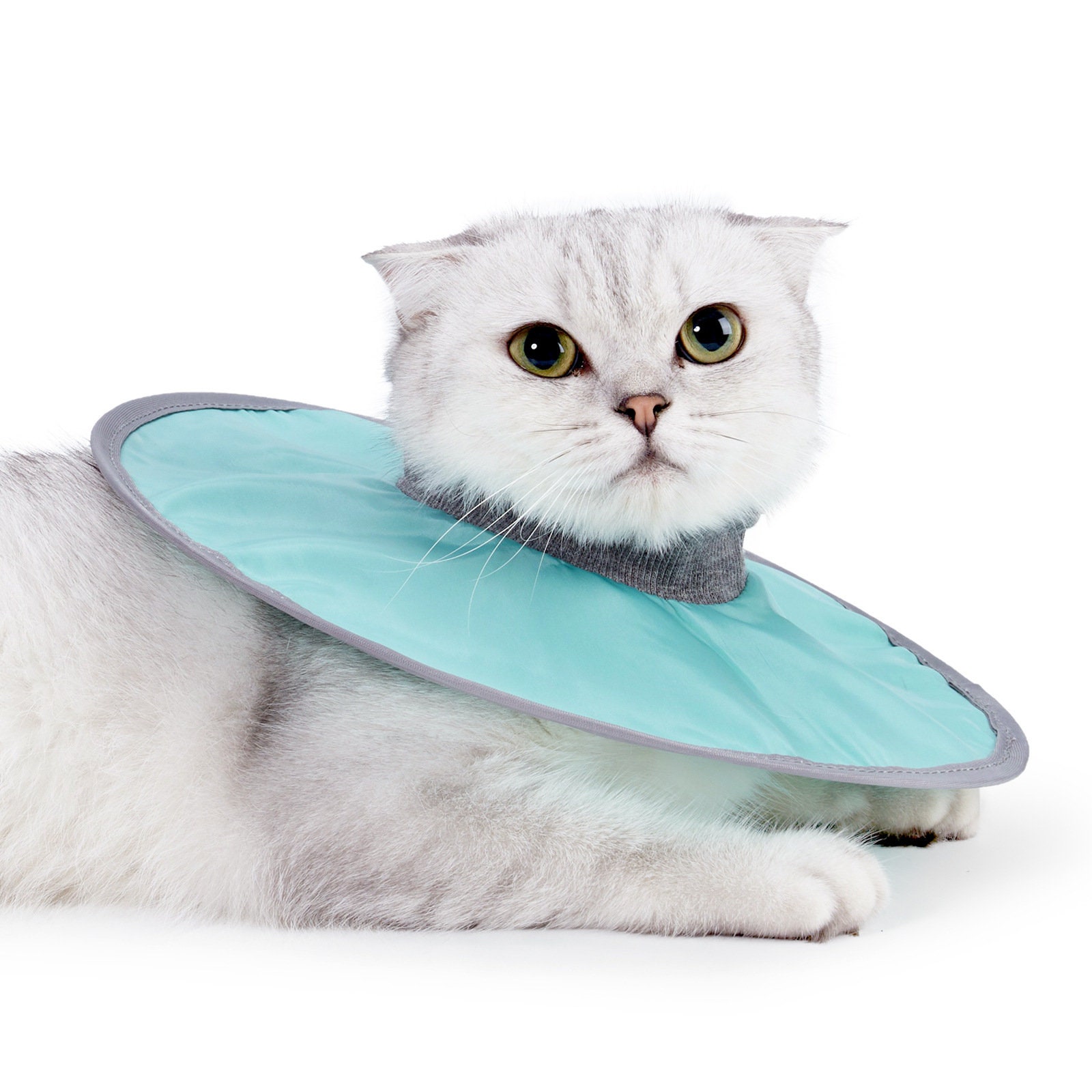 Pet Cone For Cats | ppgbbe.intranet.biologia.ufrj.br