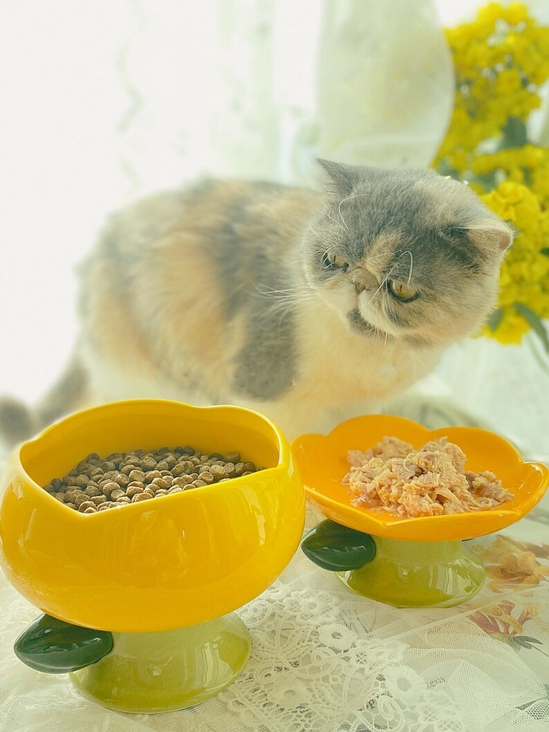 Flower Cat Bowl Ceramic Cat Bowl Tall Food Bowl Cute Cat Etsy