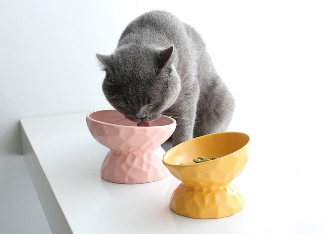 tilted cat feeder