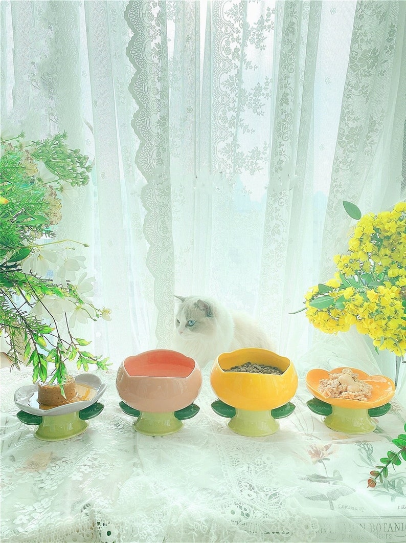 Flower Cat Bowl Ceramic Cat Bowl Tall Food Bowl Cute Cat Etsy