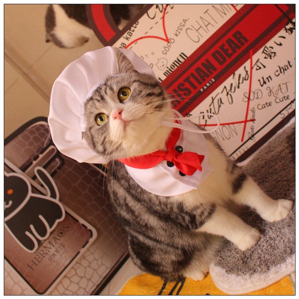 Cat Costume Etsy