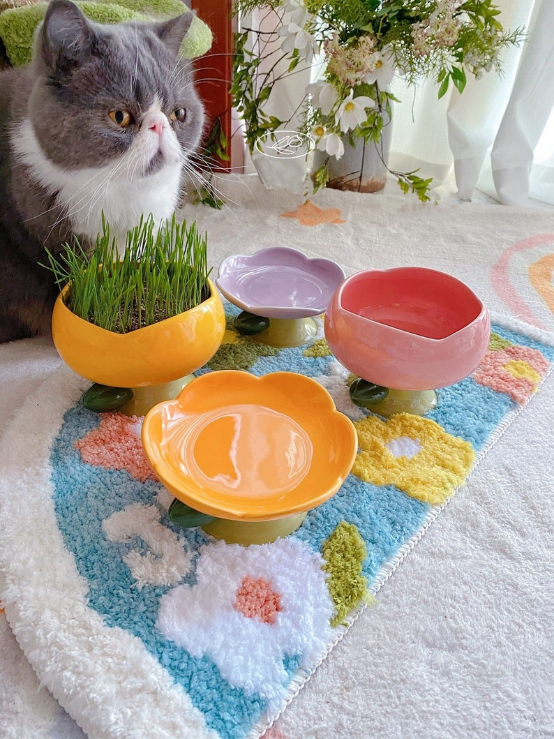 Flower Cat Bowl Ceramic Cat Bowl Tall Food Bowl Cute Cat Etsy
