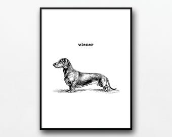 Dachshund Art Print: Funny Wiener Dog Poster (Digital Download)