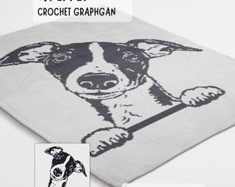 Padrão de manta de crochê Whippet feito usando gráfico de ponto baixo.
