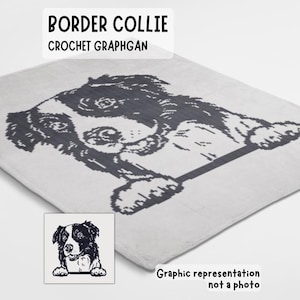 Border Collie crochet blanket pattern made using sc graphgan chart dog