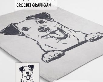 Padrão de manta de crochê Jack Russell feito usando o gráfico sc graphgan.