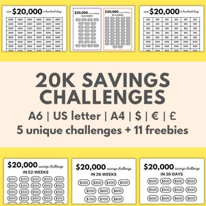 20k savings challenge save 20000 in 100 days challenge cash envelope money saving  printables for budget binder emergency fund