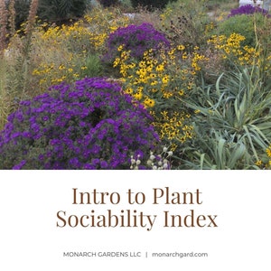 Intro to Plant Sociability Index image 1