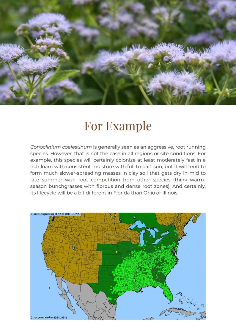 Intro to Plant Sociability Index image 3