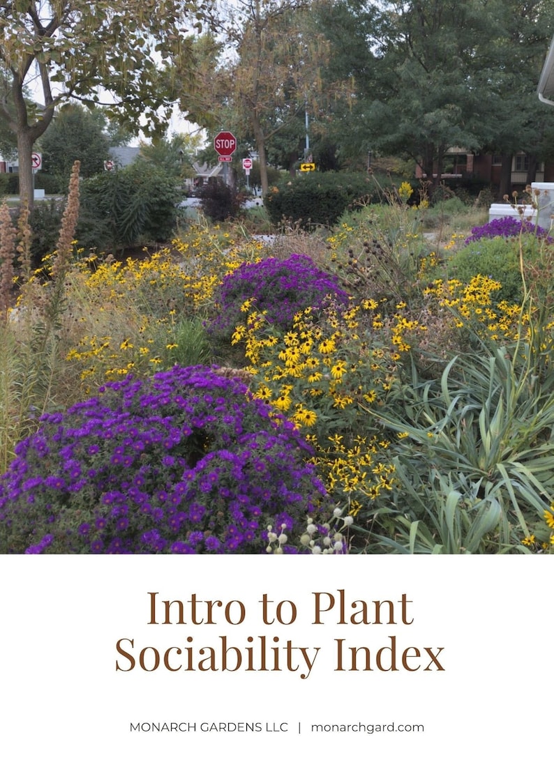 Intro to Plant Sociability Index image 1